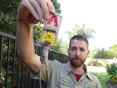 Pittsburgh pest control